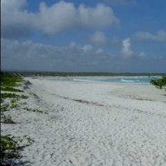 Long Walks On The Beach