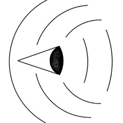 Optic Echo