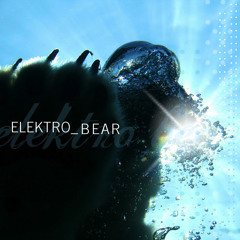 Elektro_bear