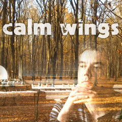 calm wings
