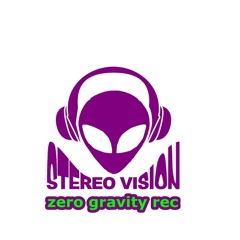 STEREO VISION