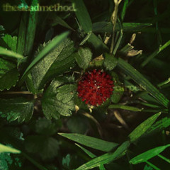 TheDeadMethod