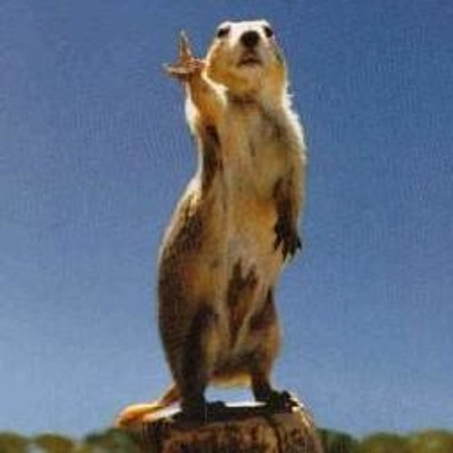 SoundCloud profile picture for @groundhog
