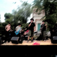 Parrots in A Cement Mixer