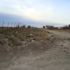 Federico Andrés Dantagnan