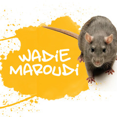 wadieMaroudi