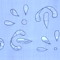 gambarota