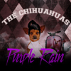 The Chihuahuas