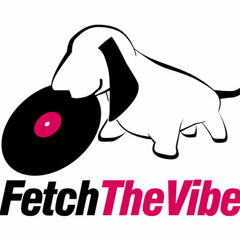 Fetch The Vibe