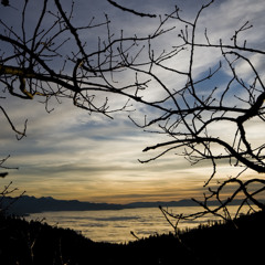 ThirdMashupFuckup-afx-squarepusher