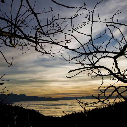 ThirdMashupFuckup-afx-squarepusher