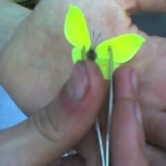 K Loinz (King Kurtayn)