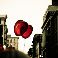 Sage Comme Une Image (Bottin Sage Oil Remix)