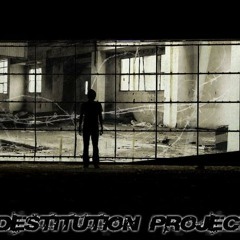 destitutionproject