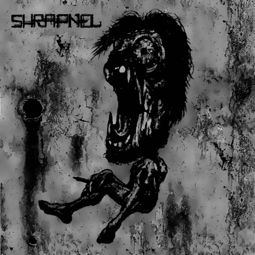 SoundCloud profile picture for @shrapnel