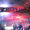 Dolfi B