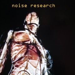 Noise Research
