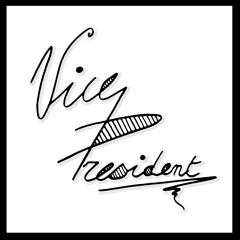 Vice President