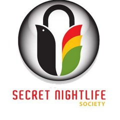 SECRETNIGHTLIFEAGENTS