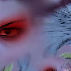 Fissure Price - Thwomp