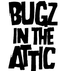 Bugz In The Attic