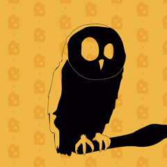 conrad_owl