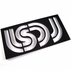 THE LSDJ