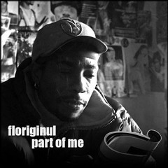 Floriginul now Fdot1