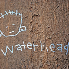 Waterhead