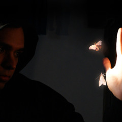 Animal Behavior (Alvin Curran)