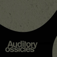 Auditory Ossicles