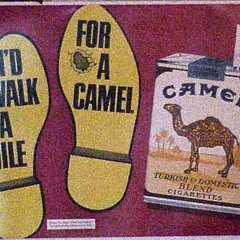 cAMEL