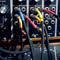 michaelmoog