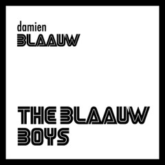 damien/theblaauwboys