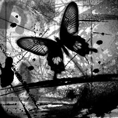 I'll have the waldorf salad - Amon Tobin (feat Bonobo)