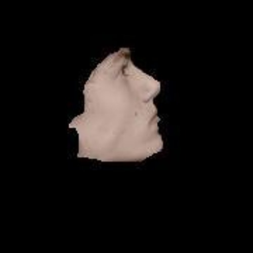 Ebbelaar’s avatar