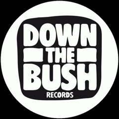 Down The Bush Records