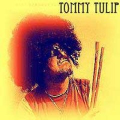 tommy.tulip