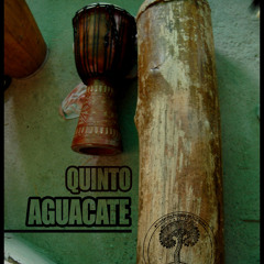 Quinto Aguacate