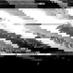 NULL AND VOID27
