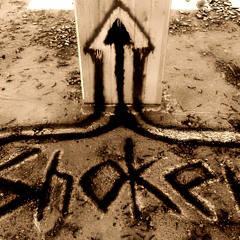 Shoker