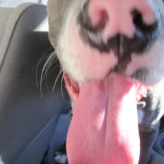 61  Kutmah - Throwing Stones