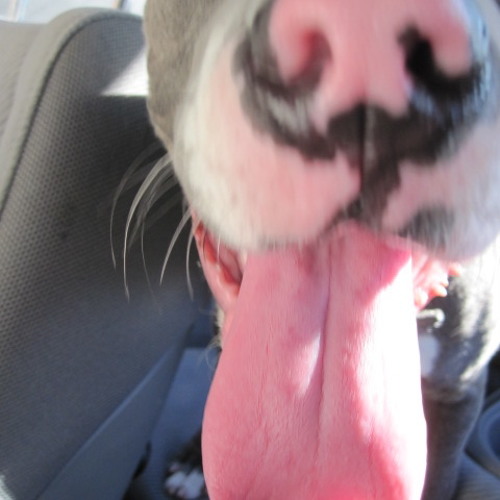 61  Kutmah - Throwing Stones