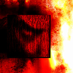 Lying in the gutter, looking at the stars...