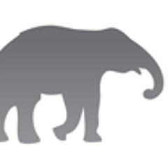 elephantmusicgroup