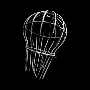 Constellation Records