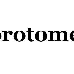 protome