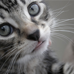 the light coming from the darkness