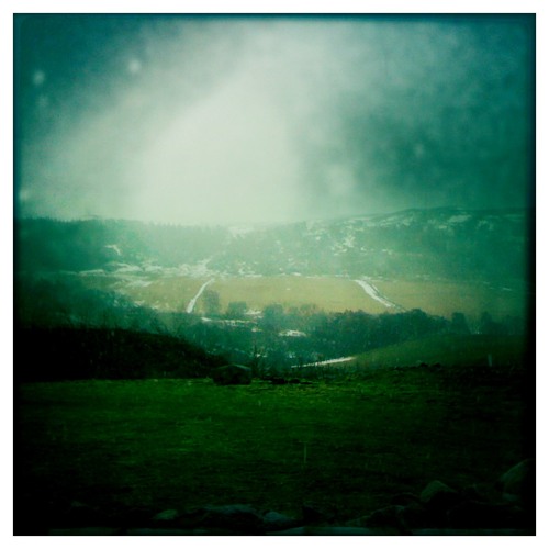 SoundCloud profile picture for @mammals
