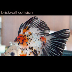 Brickwall Collision